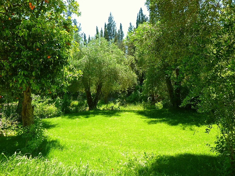 Dancing Tree Farm practice space